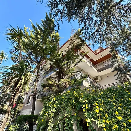 Alizee Hotel 3*