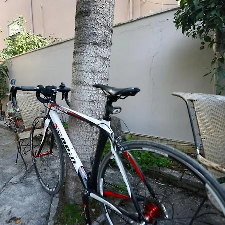 Ξενοδοχείο Alizee 3*